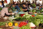 Chị em nội trợ đua nhau "săn" thực phẩm quê giữa phố