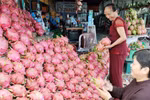 Thanh long ruột đỏ hóa trắng, đội giá gấp 5 lần