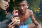 GS Võ Quý: "Hình ảnh con khỉ mang thai bị giết vẫn luôn ám ảnh tôi"