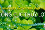 Thay đổi cơ cấu tổ chức của Tổng cục Thủy lợi
