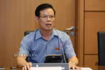 Ông Triệu Tài Vinh: Cái gì cũng có quy trình của nó...