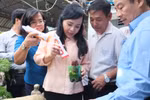 Bộ trưởng Nguyễn Thị Kim Tiến trực tiếp kiểm tra chống dịch sốt xuất huyết