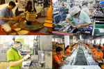 Quyết liệt triển khai thực hiện kế hoạch phát triển kinh tế - xã hội năm 2019