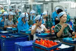 Tổ chức và hoạt động của Quỹ Phát triển doanh nghiệp nhỏ và vừa