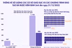 Những con số biết nói về kiểm định chất lượng giáo dục đại học sau 20 năm