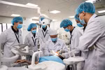 Băn khoăn ngay năm đầu mở ngành Răng- Hàm - Mặt, ĐH Phenikaa tuyển 200 chỉ tiêu