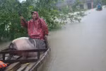 Mưa lũ lớn ở Nam Trung bộ, Tây Nguyên khiến nhiều trường học đóng cửa