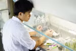 Đáp ứng 50 bài báo khi đào tạo tiến sĩ, dự báo nghiên cứu sinh ít “bỏ cuộc” hơn