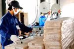 43.000 doanh nghiệp đang gặp khó khăn, có phải vì "giấy phép con"?