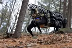 Top 5 robot chạy nhanh nhất thế giới