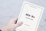 Có nên kiểm tra xác suất trường có điểm học bạ "trong mơ"