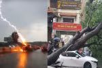 Ô tô bị cây đổ, sét đánh, quy trình thủ tục để được nhận bảo hiểm ra sao?