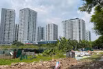 Hà Nội "quyết" lấy 7 ô đất HUD quản lý tại Hoàng Mai để xây trường học 