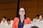 "Lời hứa là áp lực lớn nhất của một đại biểu Quốc hội"
