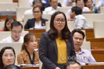 Hàng loạt doanh nghiệp lớn bị nêu tên tại nghị trường Quốc hội