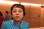 Bà Phạm Khánh Phong Lan và những phát ngôn chẳng giống ai