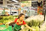 Nhiều chính sách khuyến khích doanh nghiệp đầu tư vào nông nghiệp, nông thôn