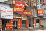 Bộ trưởng Trịnh Đình Dũng quyết dẹp bỏ bát nháo cò nhà đất