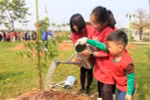 Phê duyệt Đề án trồng 1 tỷ cây xanh