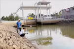Thủ tướng chỉ đạo ứng phó xâm nhập mặn, thiếu nước tại Đồng bằng Sông Cửu Long