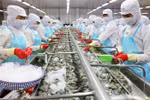 Phê duyệt Kế hoạch thực hiện Hiệp định UKVFTA
