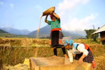 Đẩy mạnh phát triển kinh tế miền núi