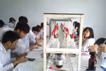 Con thi trượt, cha mẹ ứng xử thế nào cho đúng?