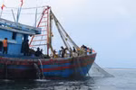 Vi phạm trong lĩnh vực thủy sản bị phạt tới 1 tỷ đồng