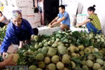 Lạng Sơn sắp diễn ra Ngày hội Na Chi Lăng năm 2018