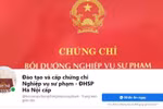 Giáo viên phải bồi dưỡng nghiệp vụ sư phạm, giảng viên không cần, tôi thấy vô lý