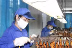 Quân nhân chuyên nghiệp, viên chức QP chuyển ngành, thôi việc được ưu tiên gì?