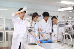 Số lượng GS, PGS giảm vì việc xét đang dần tiệm cận trình độ quốc tế