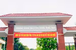Kết luận thanh tra trách nhiệm của Hiệu trưởng Trường THPT Đồng Đậu
