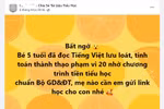 Không hề có chương trình tiền tiểu học chuẩn Bộ GD&ĐT, phụ huynh đừng để bị lừa