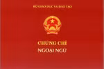 Bộ Giáo dục thống nhất với Bộ Nội vụ bỏ chứng chỉ ngoại ngữ, tin học