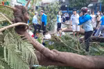 Học sinh trường Bạch Đằng tử vong do đổ cây, Bộ trưởng Nhạ gửi lời chia buồn