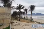 Chủ tịch quận phải chịu trách nhiệm nếu để xảy ra vi phạm trật tự xây dựng