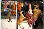 Các loại thịt thú rừng "toàn chứa vi khuẩn độc"