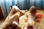 Phút 'xì tin' của bé với động vật