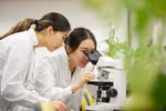 Vinschool công bố Chương trình Dự bị Đại học NCUK - Vinschool