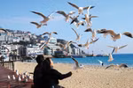 Chào đường bay mới Đà Lạt – Busan chỉ từ 0 đồng, Vietjet thôi!