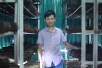 Cử nhân Ngoại thương gác bằng đại học đi trồng nấm