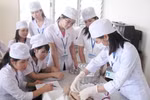 Giảng viên có bằng chuyên khoa cấp II sẽ được công nhận tương đương tiến sĩ