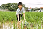 Nam sinh lớp 5 ước có đôi mắt sáng để học tập, phụng dưỡng ông bà