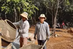 Không sống được bằng lương, thầy cô phải làm phụ hồ nuôi nghề giáo