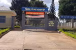 Vụ học sinh bị "giam" học bạ vì không có tiền đóng quỹ: Tỉnh chỉ đạo kiểm tra