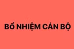 Bổ nhiệm Trợ lý Thủ tướng Chính phủ
