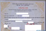 Bồi dưỡng và thi chứng chỉ tích hợp kiểu này, tôi thấy khó hiệu quả