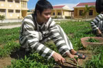 Tâm sự của những phạm nhân được đặc xá