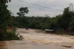Vụ ôtô bị nước cuốn 5 người mất tích: Lái xe là cán bộ Sở GTVT Nghệ An